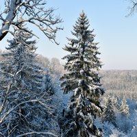 Biezākā sniega sega saglabājas Siguldā
