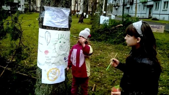 Mucenieku iedzīvotāji protestē pret koku izciršanu Ropažos - 2