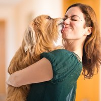 Cilvēks un suns: mīlestība ar un bez nosacījumiem
