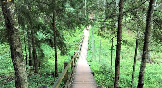 Pārgājieni, velobraucieni un citas aktivitātes: ko darīt GNP Ceļotāju dienā