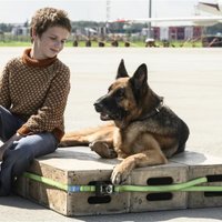 Drīzumā kinoteātros: patiess stāsts par Palmu – suni, kas lidostā gaidīja saimnieku