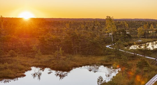 Foto: Burvīgs rudens saullēkts Lielajā Ķemeru tīrelī