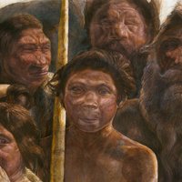 Расшифрован древнейший ДНК человека возрастом 400 тысяч лет