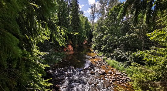 Iedvesmojoši foto: Gleznainā un mežonīgā Amatas upe