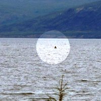 Arī Sibīrijas ezerā atrasts ūdens briesmonis