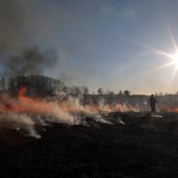 В субботу зарегистрировано крупнейшее в этом году количество пожаров прошлогодней травы