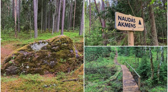 ФОТО. Гигантский денежный камень Паркалню в Смилтенском крае