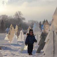 Matemātiķis radījis instrukciju, kā izvēlēties ideālo egli