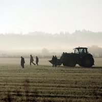 Izsalušo ziemāju dēļ Eiropas Komisijai lūgs sniegt atbalstu Latvijas graudkopjiem