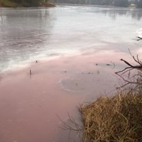Ādažos upe kļūst rozā; inspektori lūdz iedzīvotāju palīdzību