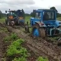 Pa dubļiem ar diviem traktoriem – Rēzeknes novadā zemnieki mēģina novākt kartupeļus