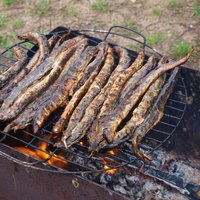 День миноги в Царникаве: как готовить деликатес и как есть