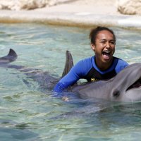 Foto: Tenisisti plunčājas ar delfīniem