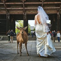 Mīlestība vai loģika? Labi un ne tik labi iemesli, kādēļ pāri precas mūsdienās