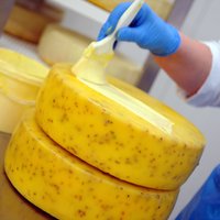 Latvijā reģistrēti vairāk aldaru nekā piena pārstrādes un siera ražošanas uzņēmumi