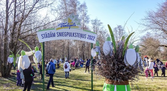 1. aprīlī Ventspilī notiks sniegpulkstenīšu stādīšanas talka