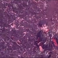 Video: Austrālijā ar autismu slims zēns četras dienas maldās mežā