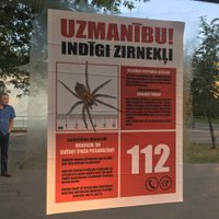 Rīgā izvietoti viltus brīdinājumi par indīgiem zirnekļiem