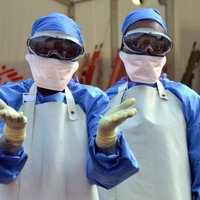 ВОЗ сообщила о мутации вируса Эбола
