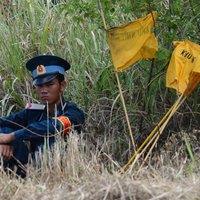 США помогут очистить Вьетнам от Agent Orange