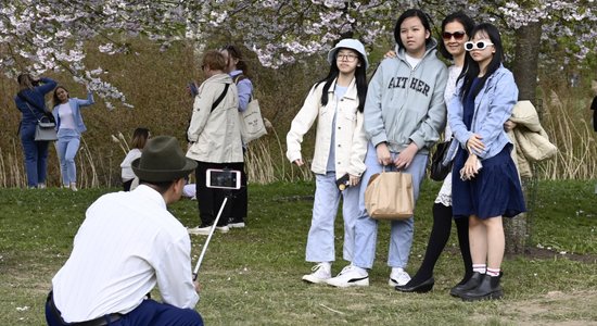 ФОТО: Настроение - сакура. Парк победы превратился в фотосалон под открытым небом