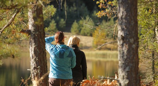 Latvijas krāšņākās vietas: septiņas idejas zelta rudens baudīšanai