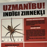 На улицах Риги появились плакаты с фальшивым предупреждением о ядовитых пауках