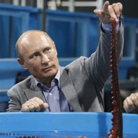 В МИД РФ назвали лидеров западных стран мелкими по сравнению с Путиным