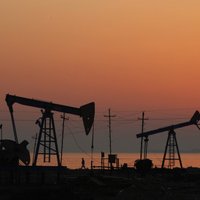 Обвал на рынке нефти: цены упали до пятилетних минимумов