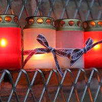 Вице-мэр Ратниекс предложил рижанам в День Лачплесиса поставить свечи в парке Узварас