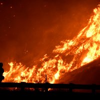 Власти Калифорнии назвали историческими природные пожары в 2020 году
