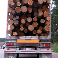 Meža produktu imports šī gada septiņos mēnešos palielinājies par 45,5%