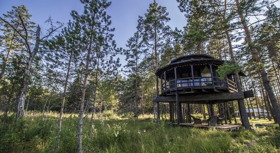 Trīs mājiņas kokos 30 minūšu brauciena attālumā no Tallinas