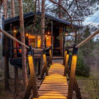 ФОТО. Три домика на деревьях всего в 30 минутах езды от Таллина