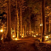 Gaismas un noskaņu vakars: aicina uz gadskārtējo Uguns nakti Vienkoču parkā
