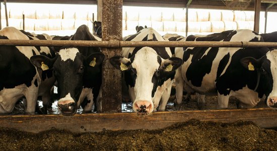 Piena nozare ir apdraudēta, nekavējoties jāsamazina PVN, uzskata LOSP