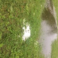 'Vasarā sniegs' – aculiecinieks dalās ar pagalmā atrasto krusas graudu fotogrāfijām