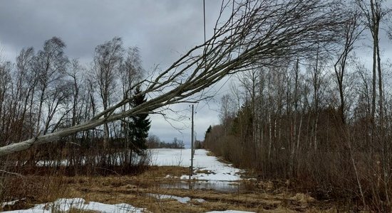 Последствия бури в Латвии: за выходные пожарные получили более 360 вызовов