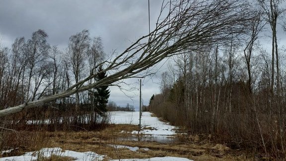 'Sadales tīkls' līdz pirmdienas rītam novērsis 924 vētras radītus elektrotīkla bojājumus - 3