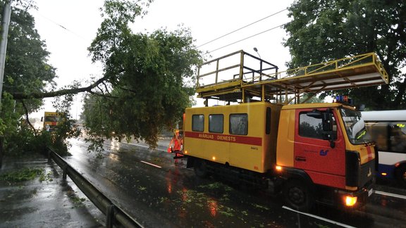 Negaiss Rīgā, nolauzti koki - 37