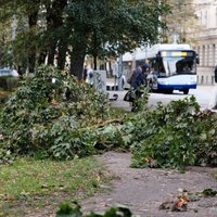 ФОТО: последствия первой осенней бури в Риге