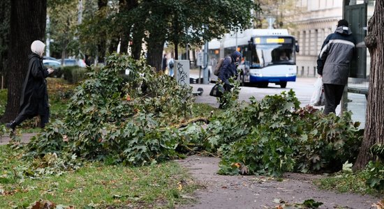 Foto: Kā pirmā rudens vētra brīvdienās Rīgu postīja