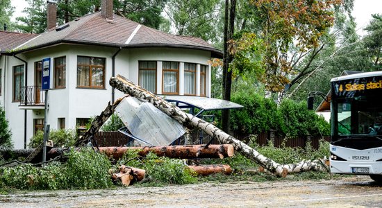 Apdrošinātāju pārstāvis: saņemts rekordskaits pieteikumu kompensēt vētras postījumus