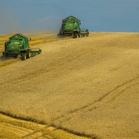 Литовский министр: транзит российского зерна через Латвию - большая проблема