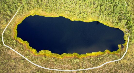 Куда поехать на выходных: болотная тропа вдоль Бездонного озера