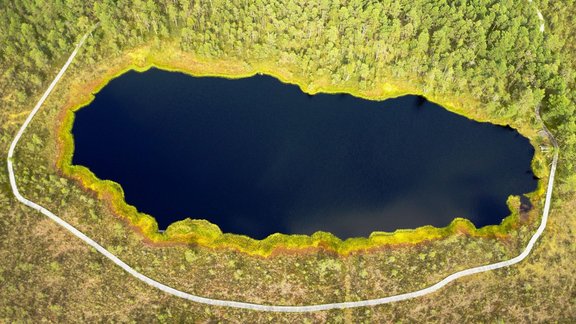 Bezdibeņa ezera taka (Kalnansu purva taka) - 21