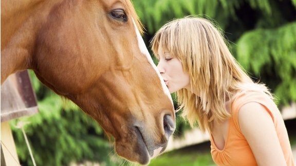 Zirgs, buča, mīlestība, horse love