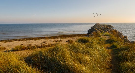 Noskaidrotas šī gada tīrākās un netīrākās Latvijas pludmales