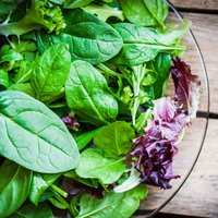 Salātu spēks un neatvairāmā burvība - kā izvēlēties, glabāt un pagatavot lapu salātus