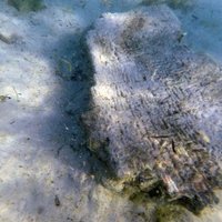 На дне моря обнаружен затонувший после цунами древний город
